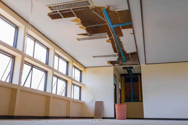 Best Carpet water damage restoration  in Weston, WV