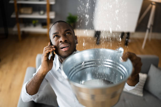 Best 24/7 water damage repair  in Weston, WV