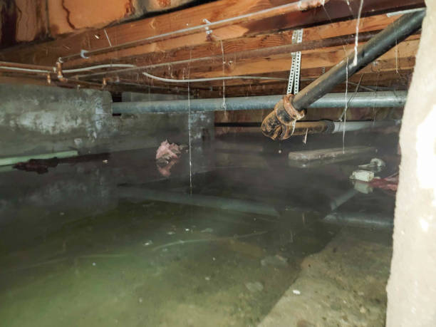 Best Sewage cleanup and water damage restoration  in Weston, WV