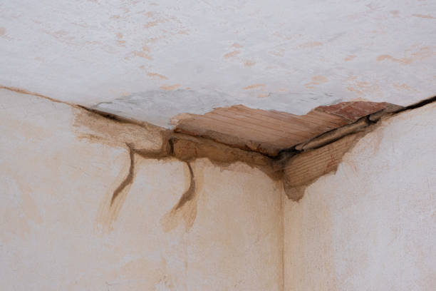 Best Water damage contractors near me  in Weston, WV