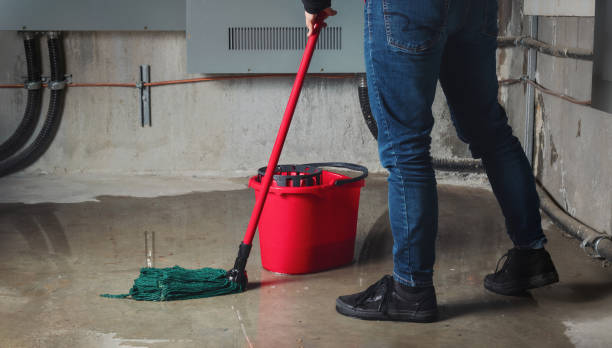 Best Local water damage restoration  in Weston, WV