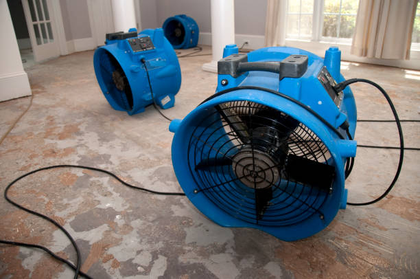 Best Commercial water damage restoration  in Weston, WV