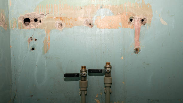 Best Water damage restoration insurance claims  in Weston, WV