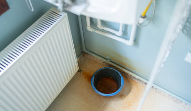 Best Carpet water damage restoration  in Weston, WV