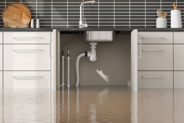 Best Carpet water damage restoration  in Weston, WV