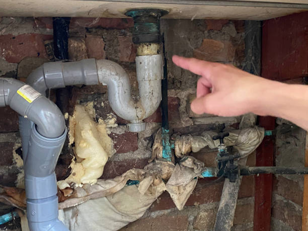 Best Water damage restoration near me  in Weston, WV