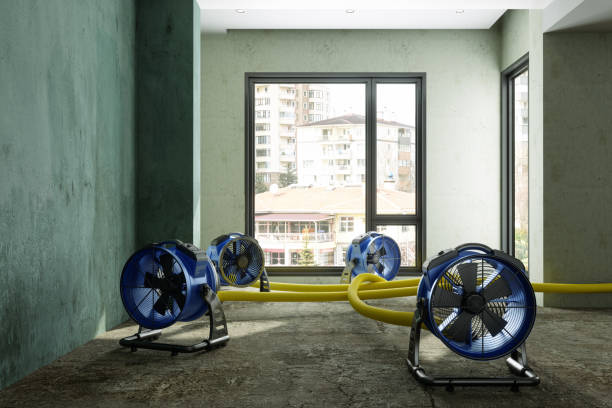 Best Flood damage cleanup  in Weston, WV