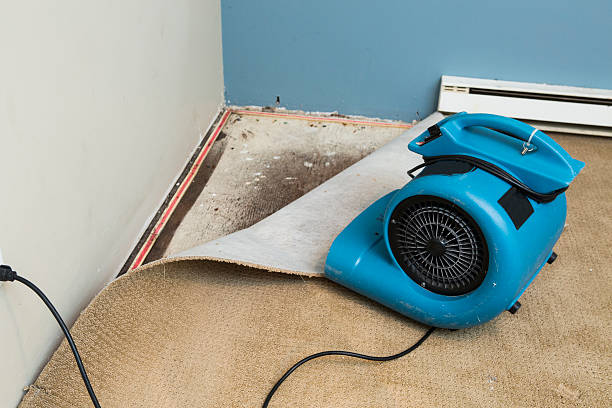 Best Ceiling water damage repair  in Weston, WV